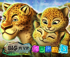 Big 5 baby 5